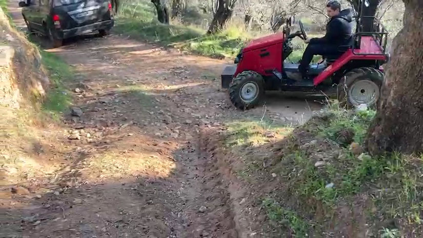 Keçileri Kıskandıran Boğay
